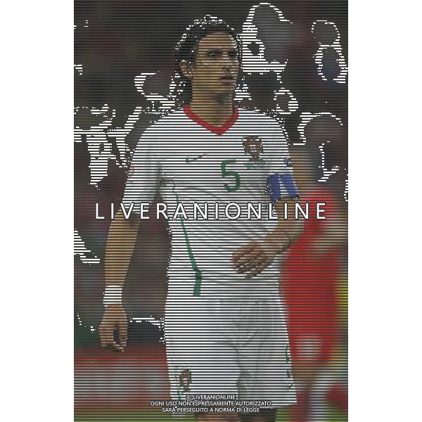 Basilea (CH) 15-06-2008 Campionato europeo calcio EURO2008 svizzera-portogallo 2:0 nella foto fernando meira ph marco luzzani/ag aldo liverani s.a.s.