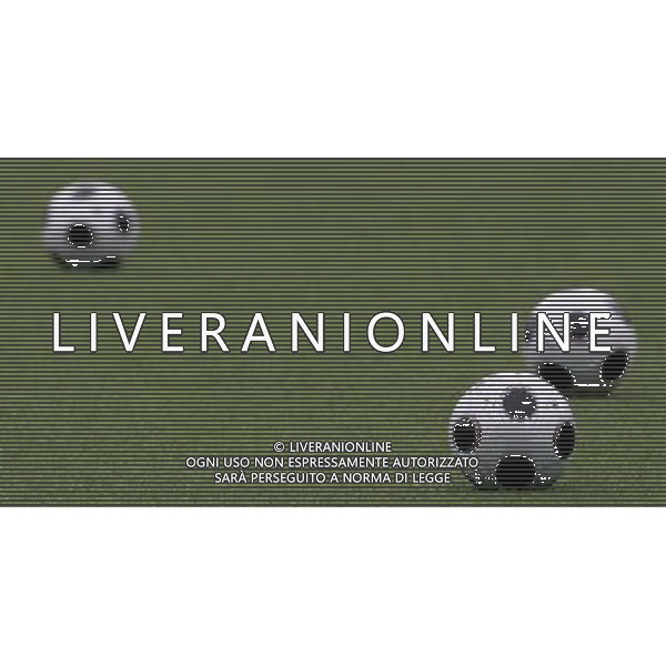 Zurigo (CH) 16-08-2008 allenamento italia nella foto palloni ph marco luzzani/ag aldo liverani s.a.s.