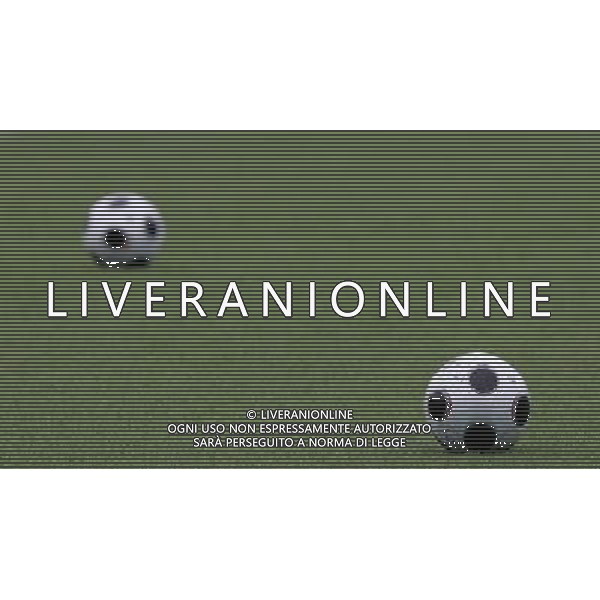 Zurigo (CH) 16-08-2008 allenamento italia nella foto palloni ph marco luzzani/ag aldo liverani s.a.s.