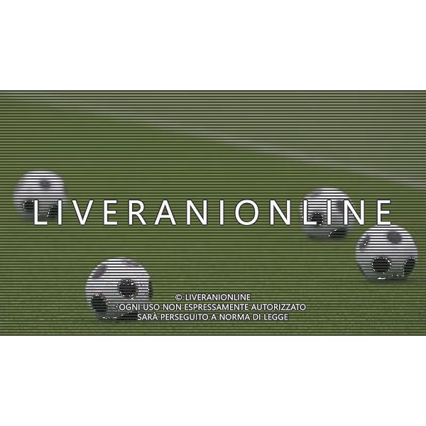 Zurigo (CH) 16-08-2008 allenamento italia nella foto palloni ph marco luzzani/ag aldo liverani s.a.s.