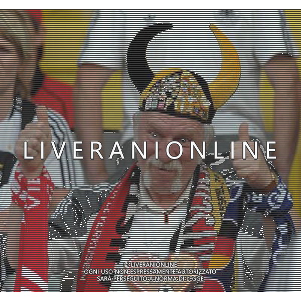 UEFA EURO 2008 Gruppo B M20 Vienna - 16.06.2008 Austria-Germania Nella Foto:TIFOSI GERMANIA /Ph.Vitez-Ag. Aldo Liverani