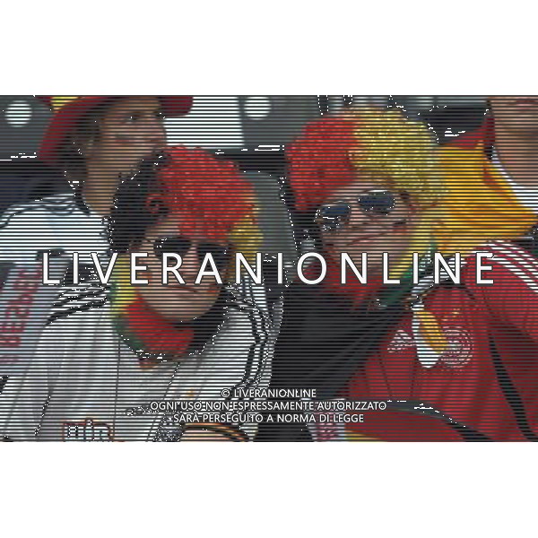 UEFA EURO 2008 Gruppo B M20 Vienna - 16.06.2008 Austria-Germania Nella Foto:TIFOSI GERMANIA /Ph.Vitez-Ag. Aldo Liverani