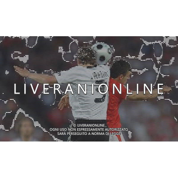 UEFA EURO 2008 Gruppo B M20 Vienna - 16.06.2008 Austria-Germania Nella Foto:FRIEDRICH /Ph.Vitez-Ag. Aldo Liverani