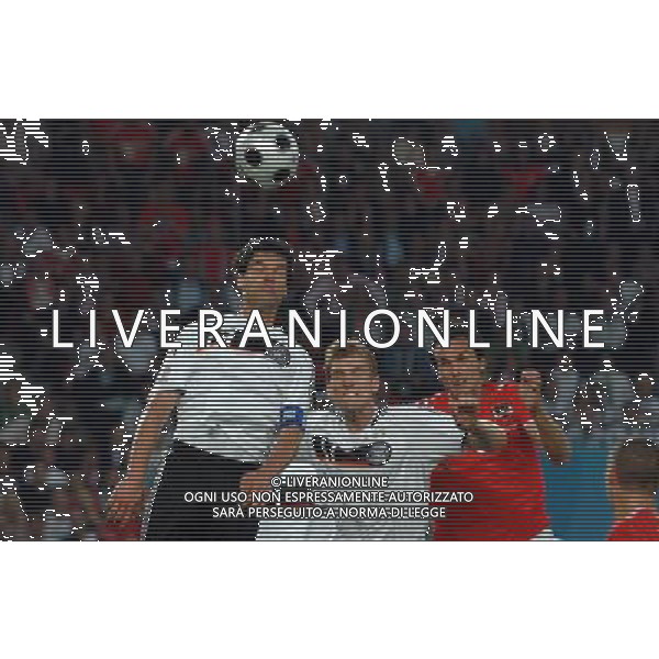 UEFA EURO 2008 Gruppo B M20 Vienna - 16.06.2008 Austria-Germania Nella Foto:BALLACK /Ph.Vitez-Ag. Aldo Liverani