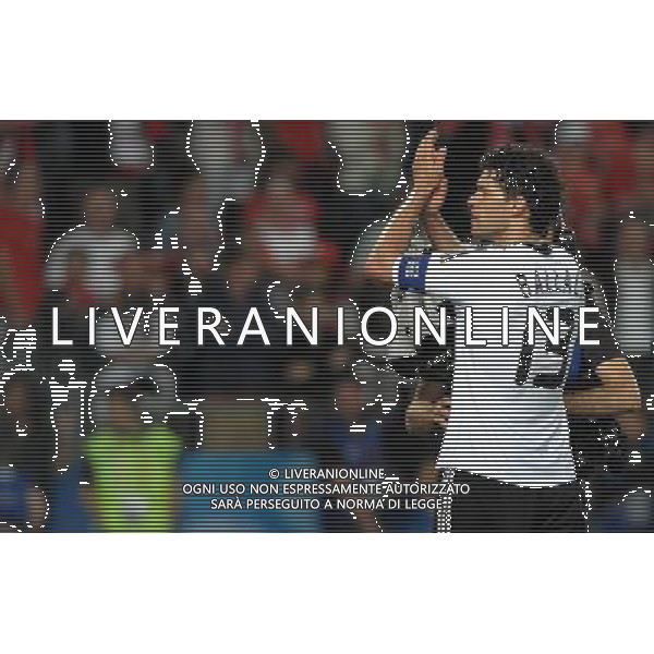 UEFA EURO 2008 Gruppo B M20 Vienna - 16.06.2008 Austria-Germania Nella Foto:BALLACK ESULTA A FINE PARTITA /Ph.Vitez-Ag. Aldo Liverani