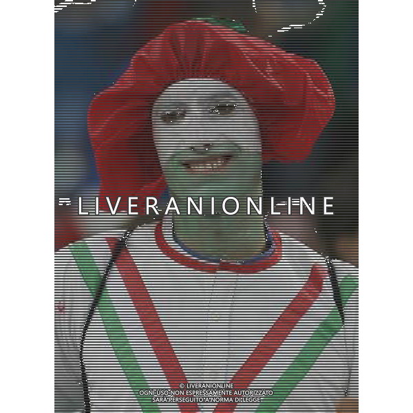 ZURIGO 17/06/2008 ITALIA-FRANCIA EURO 2008 NELLA FOTO TIFOSI ITALIA FOTO MARCO LUZZANI-AG ALDO LIVERANI