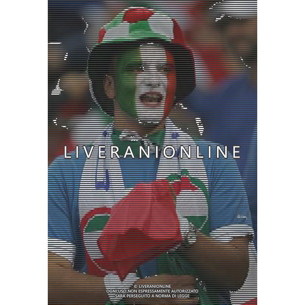 ZURIGO 17/06/2008 ITALIA-FRANCIA EURO 2008 NELLA FOTO TIFOSI ITALIA FOTO MARCO LUZZANI-AG ALDO LIVERANI