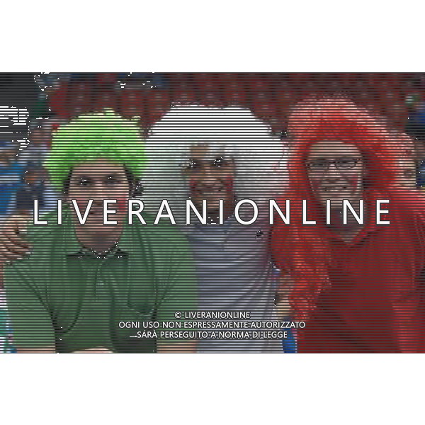 UEFA EURO 2008 Gruppo C M22 Zurigo - 17.06.2008 Francia-Italia Nella Foto:TIFOSI ITALIA /Ph.Vitez-Ag. Aldo Liverani