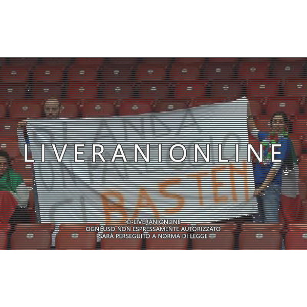 UEFA EURO 2008 Gruppo C M22 Zurigo - 17.06.2008 Francia-Italia Nella Foto:TIFOSI ITALIA /Ph.Vitez-Ag. Aldo Liverani