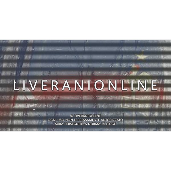 Francia - Italia 17/06/2008 Europei Zurigo nella foto tifosi francesi ph luzzani/Ag. Aldo Liverani Sas