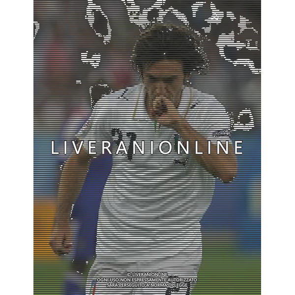 Francia - Italia 17/06/2008 Europei Zurigo nella foto esultanza dopo il gol su rigore di andrea pirlo del 0-1 ph luzzani/Ag. Aldo Liverani Sas
