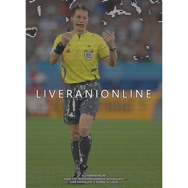 UEFA EURO 2008 Gruppo C M22 Zurigo - 17.06.2008 Francia-Italia Nella Foto:MICHEL /Ph.Vitez-Ag. Aldo Liverani