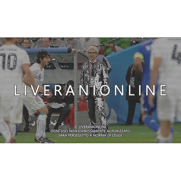 UEFA EURO 2008 Gruppo C M22 Zurigo - 17.06.2008 Francia-Italia Nella Foto:DOMENECH /Ph.Vitez-Ag. Aldo Liverani