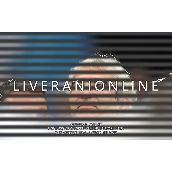 UEFA EURO 2008 Gruppo C M22 Zurigo - 17.06.2008 Francia-Italia Nella Foto:DOMENECH /Ph.Vitez-Ag. Aldo Liverani