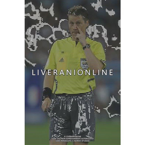 Francia - Italia 17/06/2008 Europei Zurigo nella foto arbitro michel ph luzzani/Ag. Aldo Liverani Sas