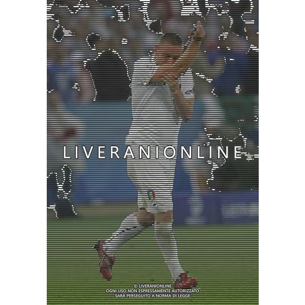 Francia - Italia 17/06/2008 Europei Zurigo nella foto esultanza dopo il gol di daniele de rossi del 0-2 che bacia il tatuaggio ph luzzani/Ag. Aldo Liverani Sas