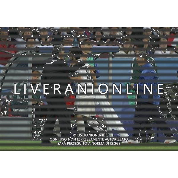 Francia - Italia 17/06/2008 Europei Zurigo nella foto roberto donadoni con gennaro gattuso dopo la sostituzione ph luzzani/Ag. Aldo Liverani Sas