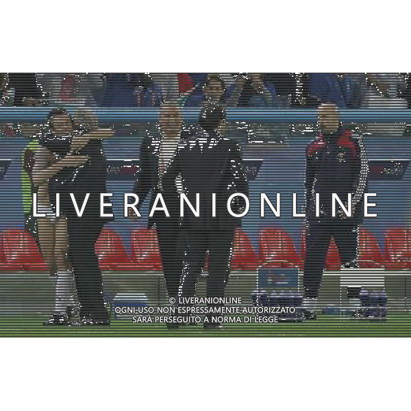 Francia - Italia 17/06/2008 Europei Zurigo nella foto esultanza di antonio cassano a fine gara ph luzzani/Ag. Aldo Liverani Sas