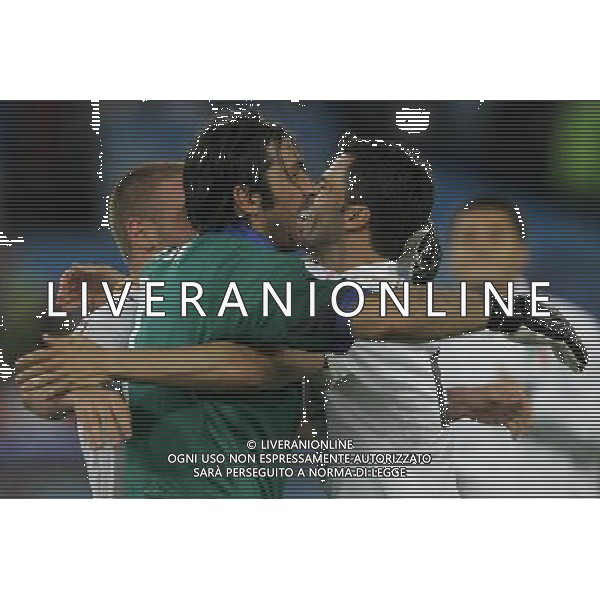 Francia - Italia 17/06/2008 Europei Zurigo nella foto esultanza dei giocatori italiani a fine gara - buffon panucci e de rossi ph luzzani/Ag. Aldo Liverani Sas