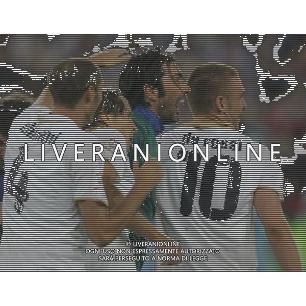 Francia - Italia 17/06/2008 Europei Zurigo nella foto esultanza dei giocatori italiani a fine gara ph luzzani/Ag. Aldo Liverani Sas