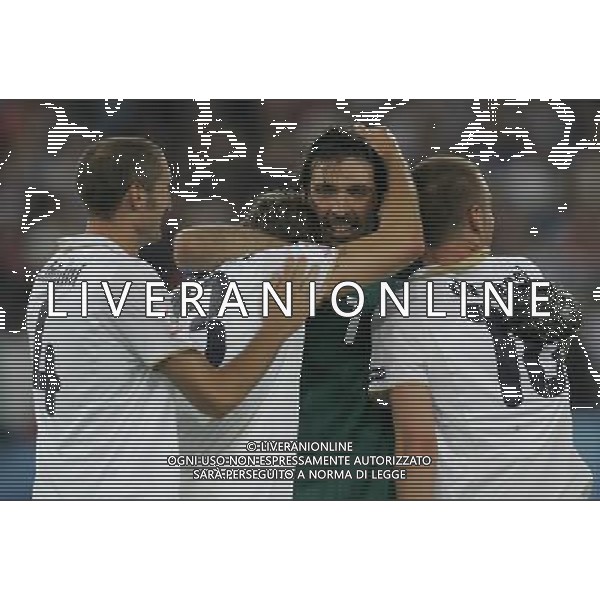 Francia - Italia 17/06/2008 Europei Zurigo nella foto esultanza dei giocatori italiani a fine gara ph luzzani/Ag. Aldo Liverani Sas