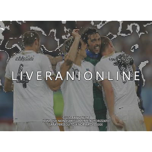 Francia - Italia 17/06/2008 Europei Zurigo nella foto esultanza dei giocatori italiani a fine gara ph luzzani/Ag. Aldo Liverani Sas