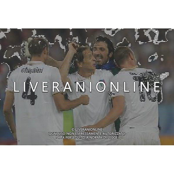 Francia - Italia 17/06/2008 Europei Zurigo nella foto esultanza dei giocatori italiani a fine gara ph luzzani/Ag. Aldo Liverani Sas