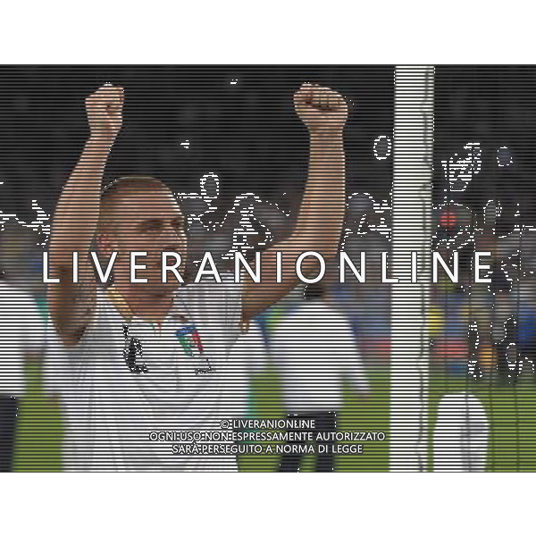 UEFA EURO 2008 Gruppo C M22 Zurigo - 17.06.2008 Francia-Italia Nella Foto:DE ROSSI ESULTA A FINE GARA /Ph.Vitez-Ag. Aldo Liverani