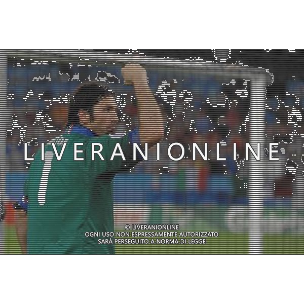 UEFA EURO 2008 Gruppo C M22 Zurigo - 17.06.2008 Francia-Italia Nella Foto:BUFFON ESULTA A FINE GARA /Ph.Vitez-Ag. Aldo Liverani