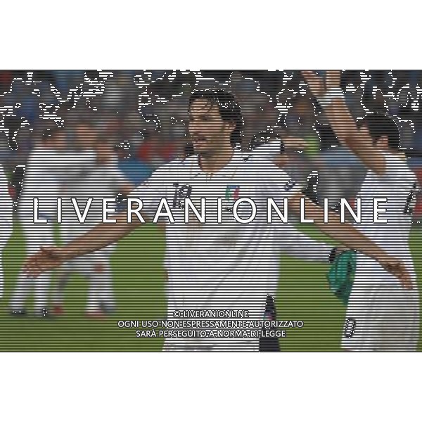 UEFA EURO 2008 Gruppo C M22 Zurigo - 17.06.2008 Francia-Italia Nella Foto:ZAMBROTTA ESULTA A FINE GARA /Ph.Vitez-Ag. Aldo Liverani