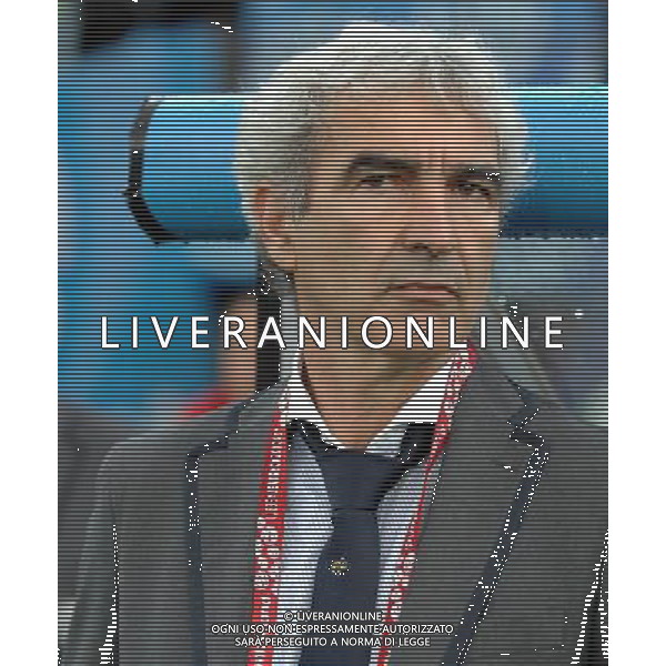 UEFA EURO 2008 Gruppo C M22 Zurigo - 17.06.2008 Francia-Italia Nella Foto:DOMENECH RAYMOND /Ph.Vitez-Ag. Aldo Liverani