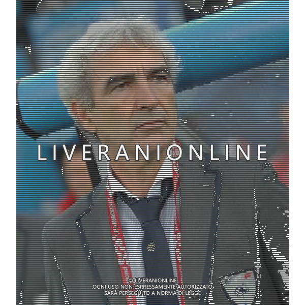 UEFA EURO 2008 Gruppo C M22 Zurigo - 17.06.2008 Francia-Italia Nella Foto:DOMENECH RAYMOND /Ph.Vitez-Ag. Aldo Liverani