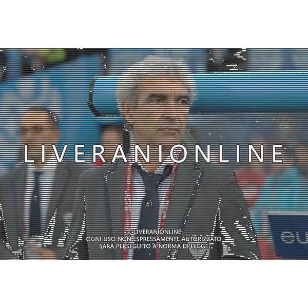 UEFA EURO 2008 Gruppo C M22 Zurigo - 17.06.2008 Francia-Italia Nella Foto:DOMENECH RAYMOND /Ph.Vitez-Ag. Aldo Liverani