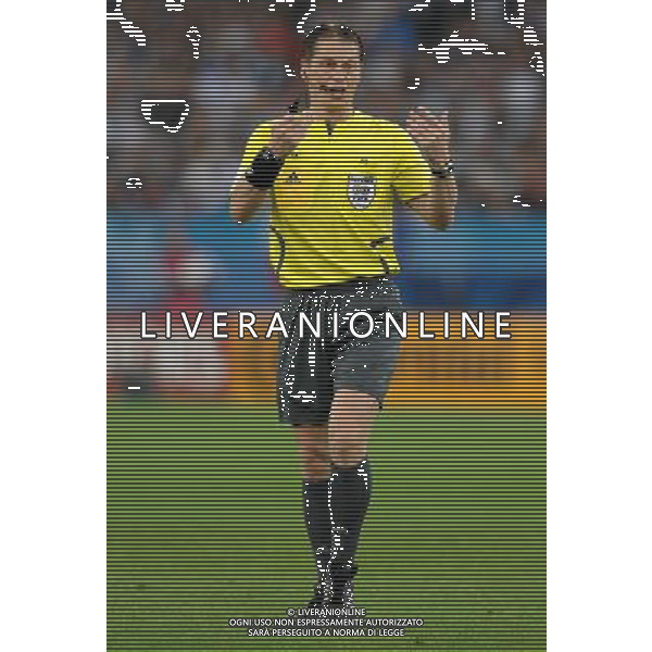 UEFA EURO 2008 Gruppo C M22 Zurigo - 17.06.2008 Francia-Italia Nella Foto:MICHEL LUBOS /Ph.Vitez-Ag. Aldo Liverani