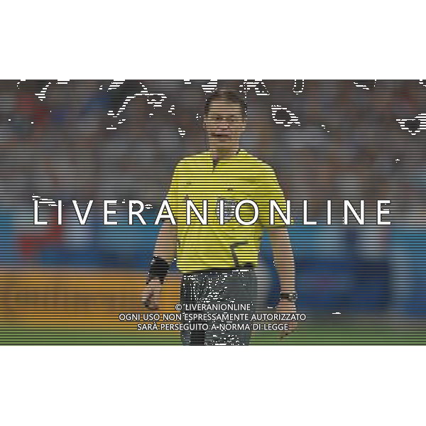 UEFA EURO 2008 Gruppo C M22 Zurigo - 17.06.2008 Francia-Italia Nella Foto:MICHEL LUBOS /Ph.Vitez-Ag. Aldo Liverani