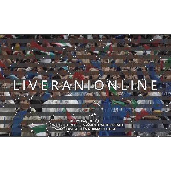 UEFA EURO 2008 Gruppo C M22 Zurigo - 17.06.2008 Francia-Italia Nella Foto:TIFOSI ITALIA /Ph.Vitez-Ag. Aldo Liverani