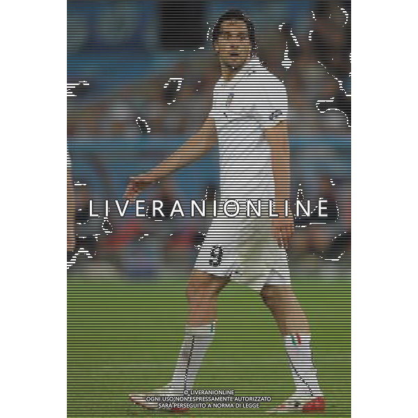 UEFA EURO 2008 Gruppo C M22 Zurigo - 17.06.2008 Francia-Italia Nella Foto:TONI LUCA /Ph.Vitez-Ag. Aldo Liverani