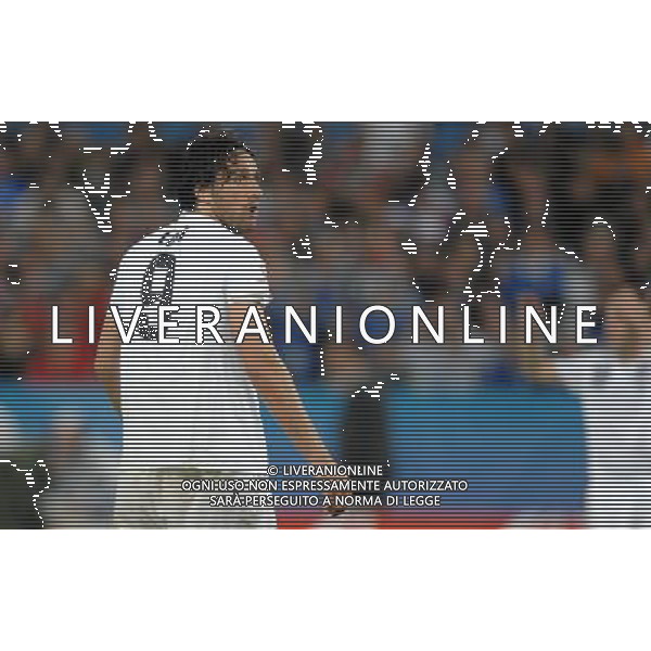 UEFA EURO 2008 Gruppo C M22 Zurigo - 17.06.2008 Francia-Italia Nella Foto:TONI LUCA /Ph.Vitez-Ag. Aldo Liverani