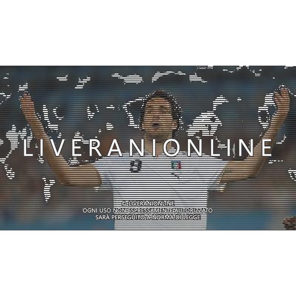 UEFA EURO 2008 Gruppo C M22 Zurigo - 17.06.2008 Francia-Italia Nella Foto:TONI LUCA /Ph.Vitez-Ag. Aldo Liverani