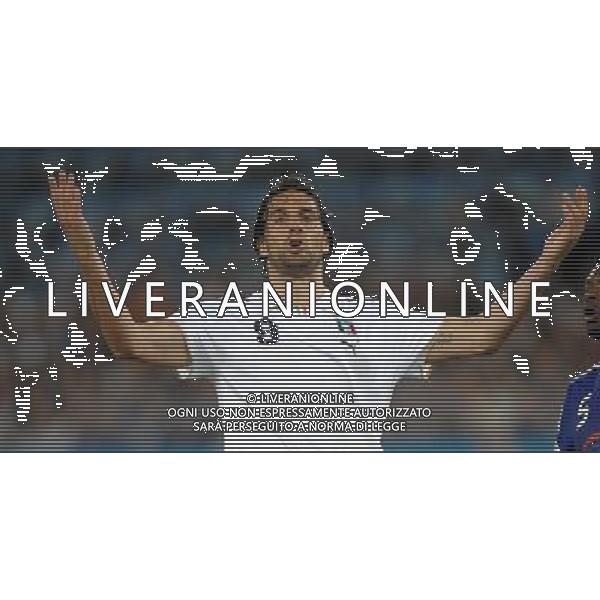 UEFA EURO 2008 Gruppo C M22 Zurigo - 17.06.2008 Francia-Italia Nella Foto:TONI LUCA /Ph.Vitez-Ag. Aldo Liverani