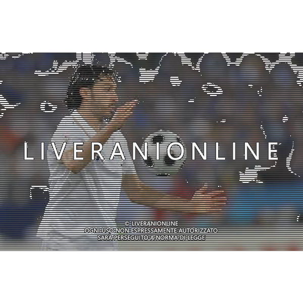 UEFA EURO 2008 Gruppo C M22 Zurigo - 17.06.2008 Francia-Italia Nella Foto:ZAMBROTTA GIANLUCA /Ph.Vitez-Ag. Aldo Liverani