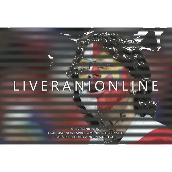 Zurigo 18-06-2008 Europeo calcio EURO2008 italia-francia 2:0 nella foto tifo italia ph maco luzzani/ag aldo liverani s.a.s.