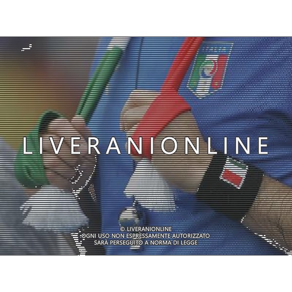 Zurigo 18-06-2008 Europeo calcio EURO2008 italia-francia 2:0 nella foto tifo italia ph maco luzzani/ag aldo liverani s.a.s.