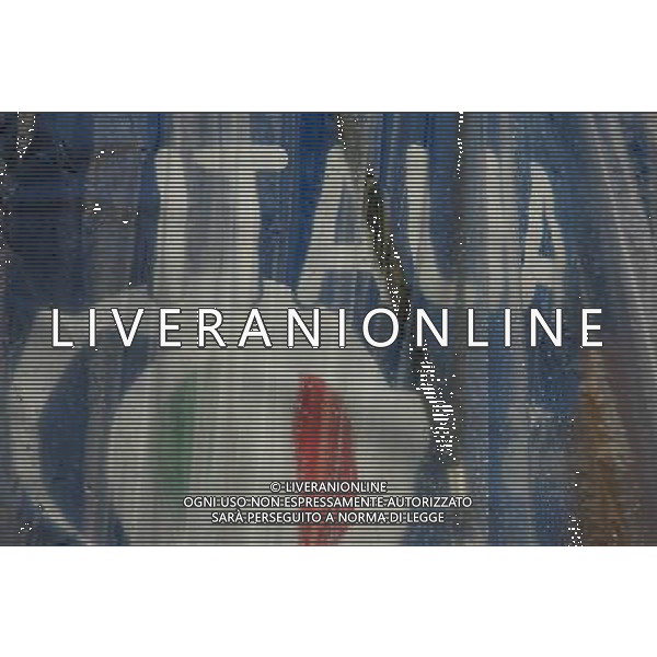 Zurigo 18-06-2008 Europeo calcio EURO2008 italia-francia 2:0 nella foto tifo italia ph maco luzzani/ag aldo liverani s.a.s.