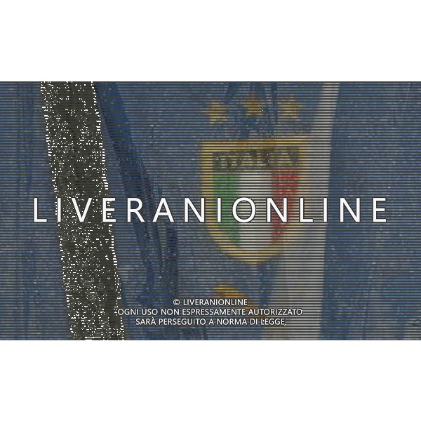 Zurigo 18-06-2008 Europeo calcio EURO2008 italia-francia 2:0 nella foto tifo italia ph maco luzzani/ag aldo liverani s.a.s.