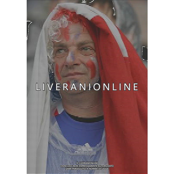 Zurigo 18-06-2008 Europeo calcio EURO2008 italia-francia 2:0 nella foto tifo francia ph maco luzzani/ag aldo liverani s.a.s.