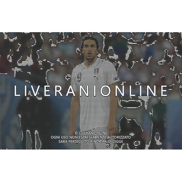 Zurigo 18-06-2008 Europeo calcio EURO2008 italia-francia 2:0 nella foto luca toni ph maco luzzani/ag aldo liverani s.a.s.