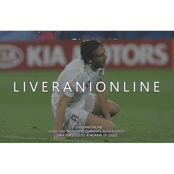 Zurigo 18-06-2008 Europeo calcio EURO2008 italia-francia 2:0 nella foto luca toni ph maco luzzani/ag aldo liverani s.a.s.