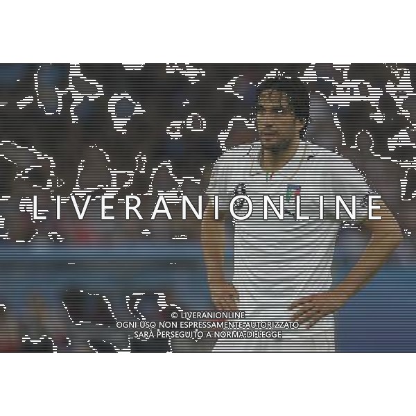 Zurigo 18-06-2008 Europeo calcio EURO2008 italia-francia 2:0 nella foto luca toni ph maco luzzani/ag aldo liverani s.a.s.