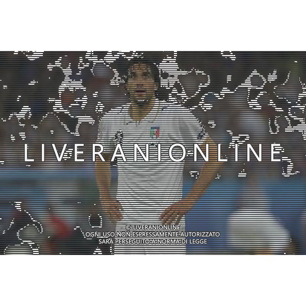 Zurigo 18-06-2008 Europeo calcio EURO2008 italia-francia 2:0 nella foto luca toni ph maco luzzani/ag aldo liverani s.a.s.